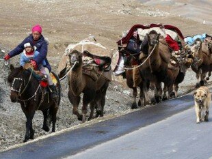 Упрощение въезда в Казахстан этнических казахов приведёт к увеличению населения республики